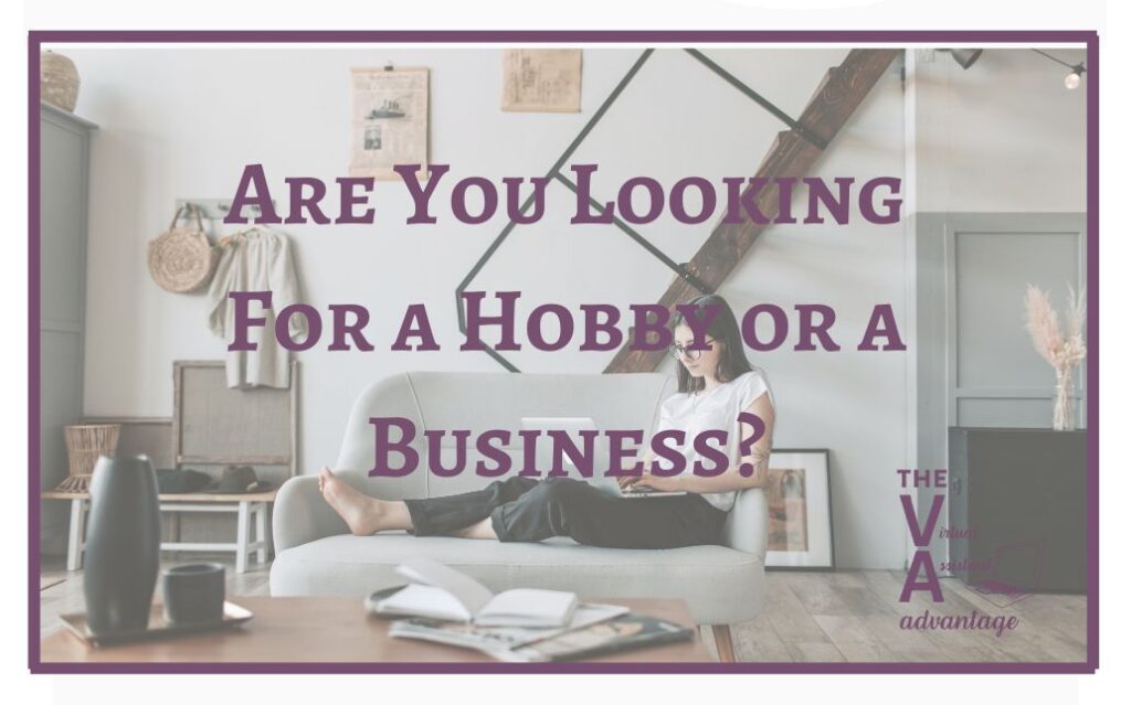 Are You Looking For a Hobby or a Business?