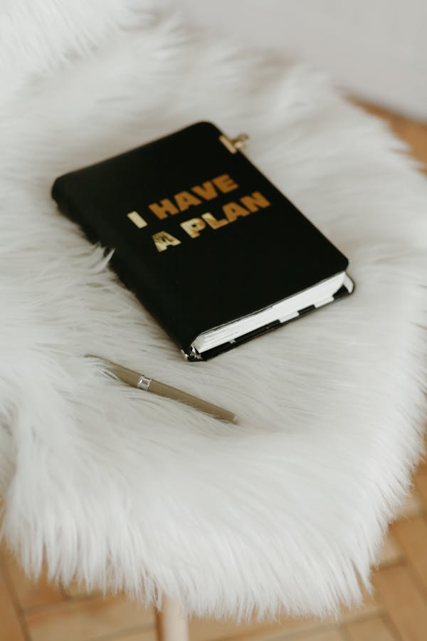 Stylish home office setup featuring a notebook with 'I HAVE A PLAN' text and a pen on a fluffy white chair.